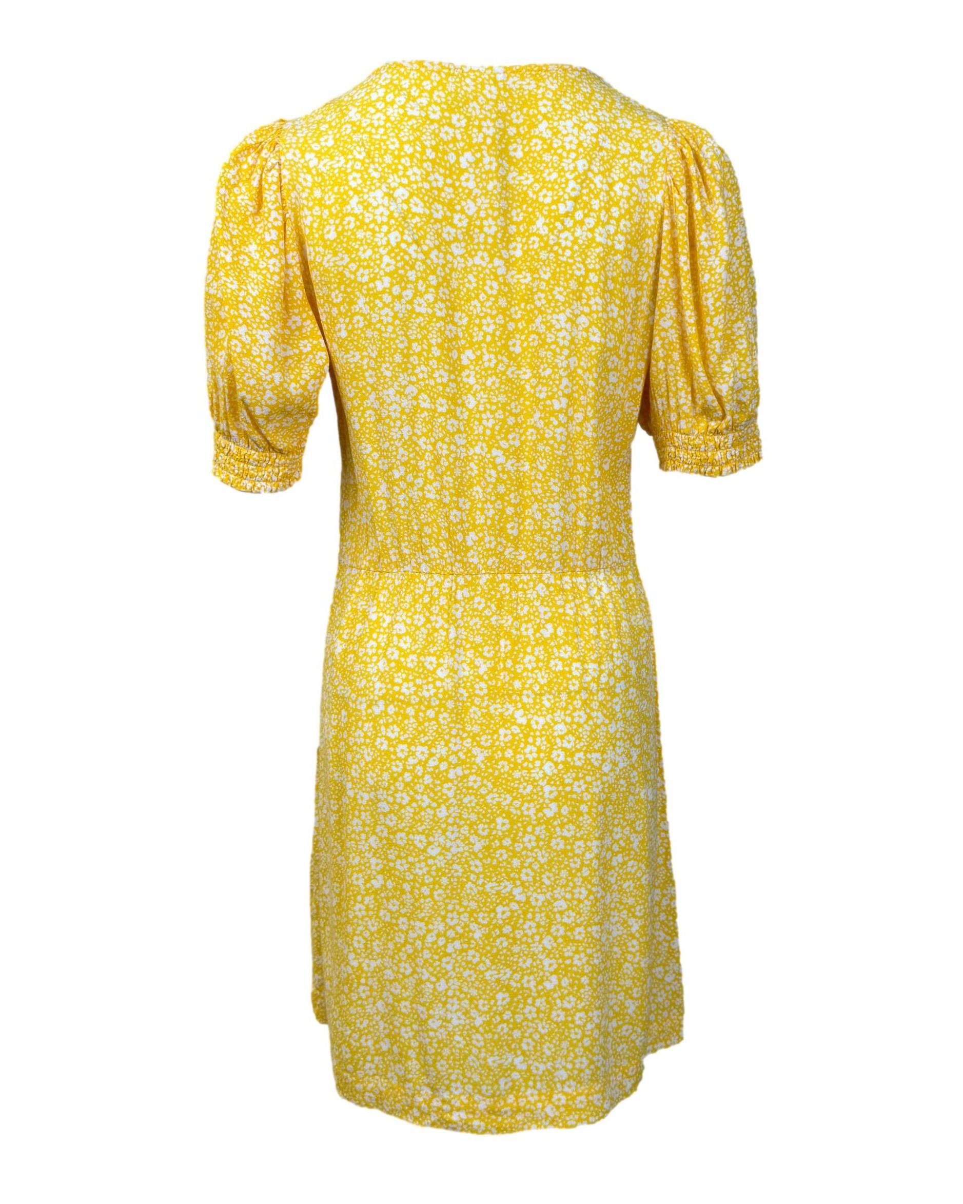 IMG_2523_clipped_rev_1