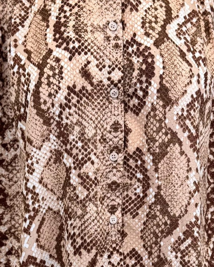 IMG_3387_clipped_rev_t