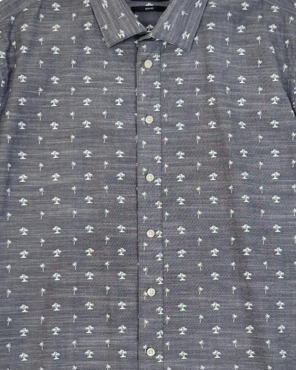 IMG_3489_clipped_rev_f