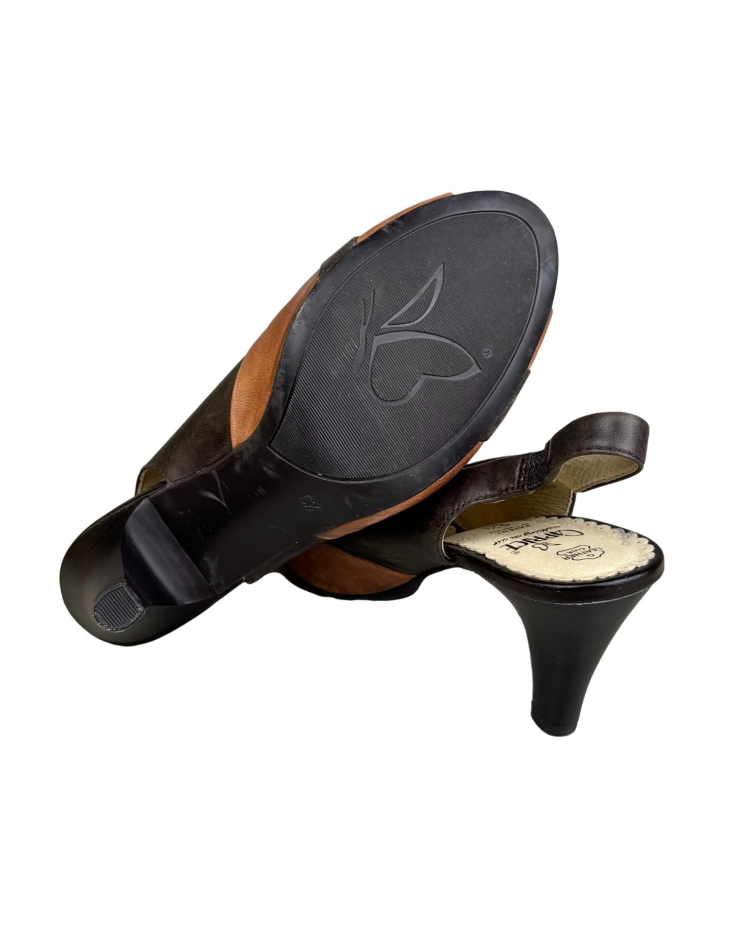 IMG_3557_clipped_rev_1