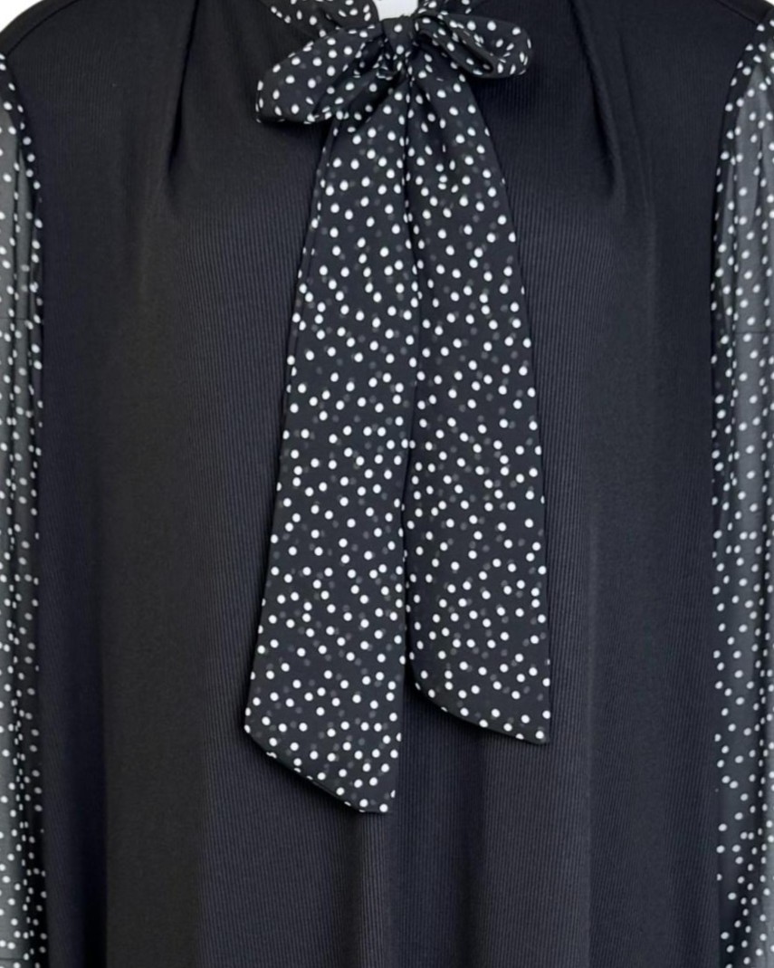 IMG_3567_clipped_rev_r