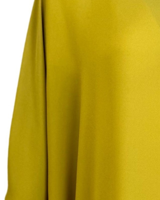 IMG_3569_clipped_rev_p