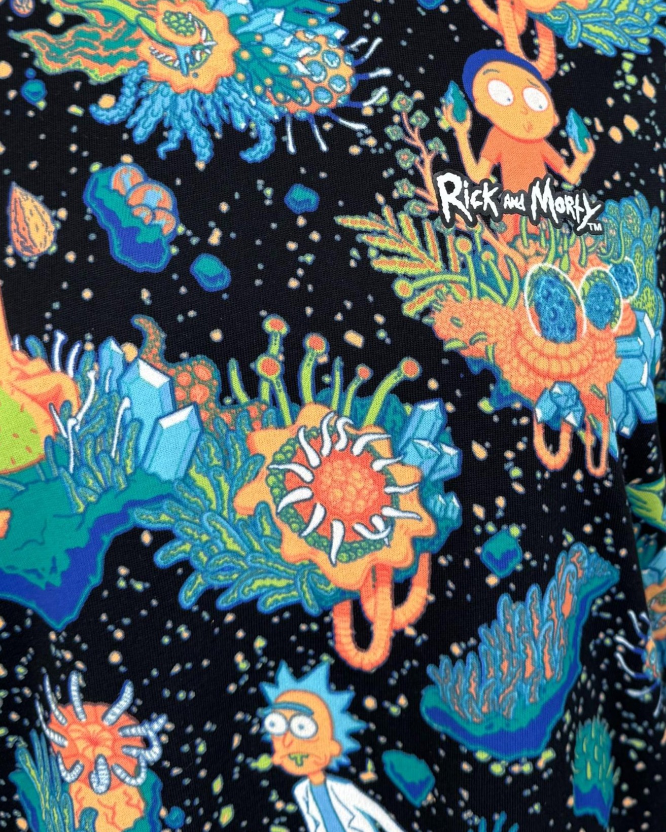 IMG_3724_clipped_rev_1